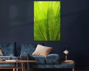 groene palmbladeren van SusaZoom
