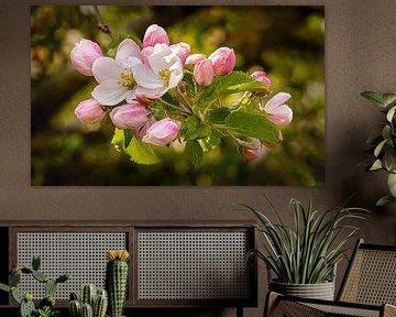 Apple Blossom by Adelheid Smitt