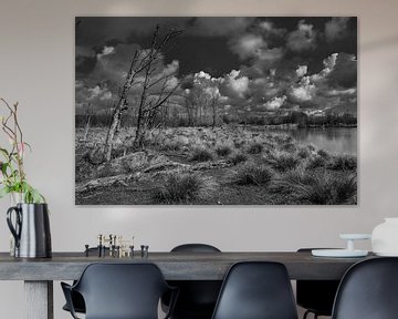 Black and white landscape Broekpolder by Marcel van Berkel