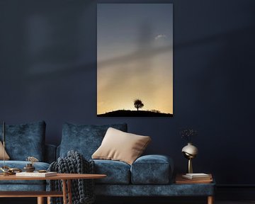Staand beeld van een eenzame boom in het ochtendgloren van Bas Ronteltap