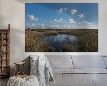 Kwelder landschap op Schiermonnikoog