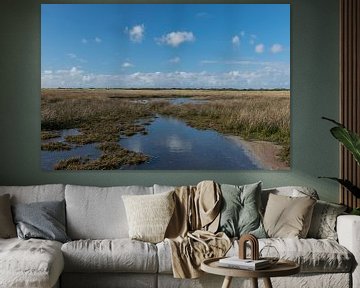 Kwelder landschap op Schiermonnikoog