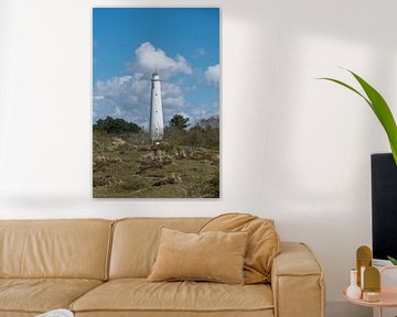 Witte vuurtoren (Zuidertoren) op Schiermonnikoog