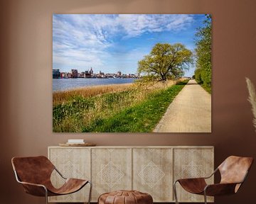View of the city of Rostock from the bank of Dierkower Damm by Animaflora PicsStock