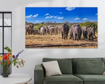 Herd of elephants, Etosha Namibia by W. Woyke