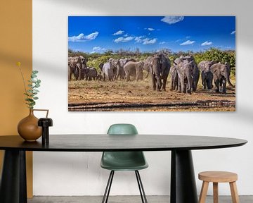 Elefantenherde, Etosha Namibia