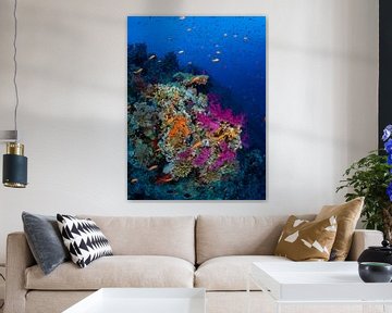 Coral garden, Shark and Yolanda reef, Red Sea 1 by René Weterings