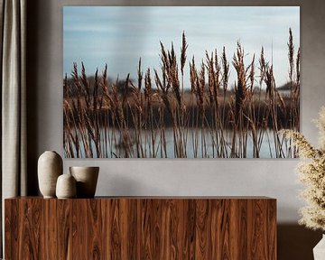 Skyline of reeds in the Amsterdam Water Supply Dunes by Sanne Dost