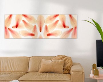 Panorama petals magnolia abstract pink delicate by Dieter Walther