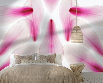 Panorama petals magnolia abstract purple delicate by Dieter Walther