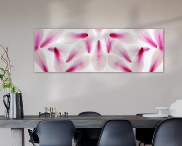 Panorama petals magnolia abstract purple delicate by Dieter Walther