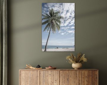Palmboom op het strand | Indonesië