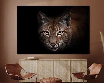 Attentive curiosity of glowing orange and yellow eyes of beauty lynx on black background isolated by Michael Semenov