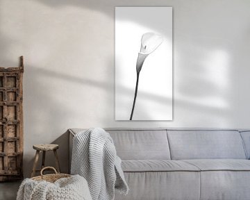 Lampe Calla | design sur Melanie Viola