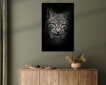 Close-up portret van een jonge lynx met gele ogen van Michael Semenov