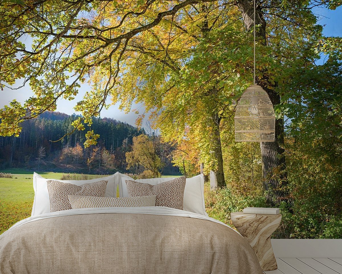 Raumvorschau