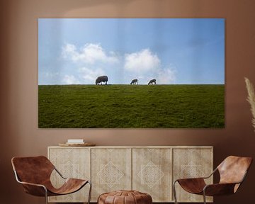 Sheep on Ameland by Nynke Altenburg
