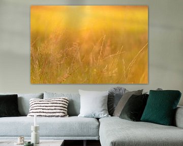 As golden as grass by Mariska Scholtens
