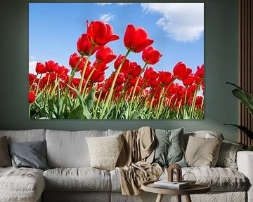 tulip field red by Henriette Tischler van Sleen