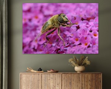 bee in purple by Antwan Janssen