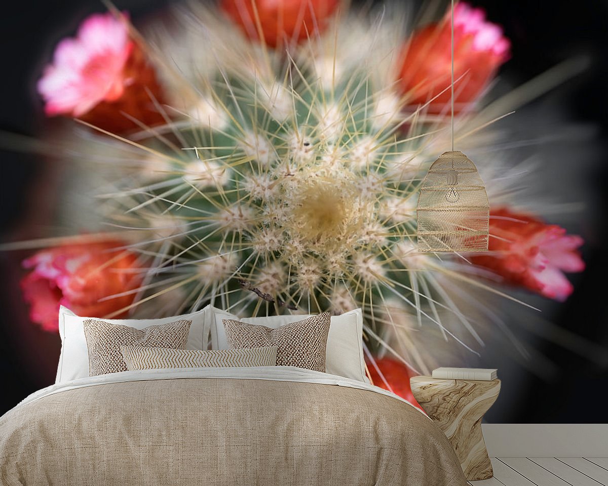 Raumvorschau