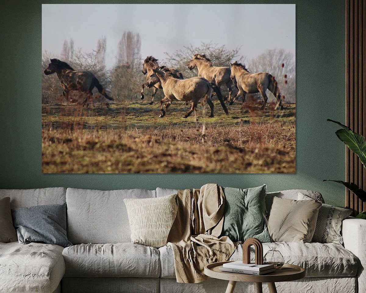 Raumvorschau