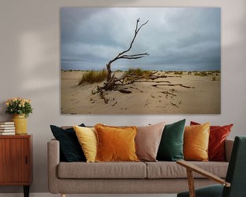 Strand Ameland, toter Baum von Nynke Altenburg