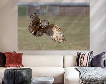 Eagle owl in flight by Antwan Janssen