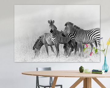 Zebras in Black and White by YvePhotography