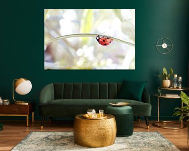 Aperçu de la chambre