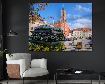 View of the market place and town hall of Kamenz by Animaflora PicsStock