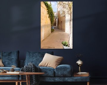 Perfekte kleine Straße in Mdina I Republik Malta von Manon Verijdt