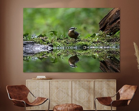 Aperçu de la chambre