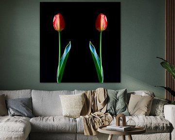 Pittoresque fleur de tulipe sur Thomas Jäger