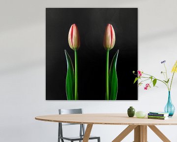 Elegante tulpen van Thomas Jäger