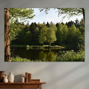 Eiland in meer in avondlicht