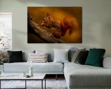 Eichhörnchen im Herbst von Lofsart - Pascal Jonckers