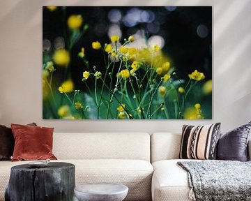 Buttercups by Alyssa van Niekerk