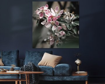 Blossom Bloom sur Daphne Groeneveld