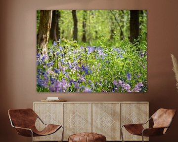 Wild hyacinths in the woods by Karin Schijf
