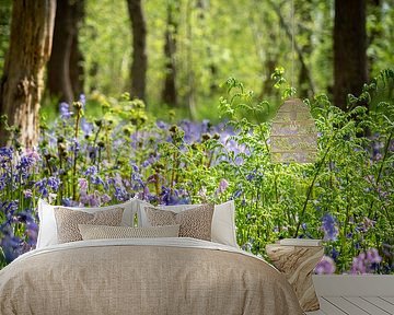 Wilde Hyazinthen im Wald von Karin Schijf