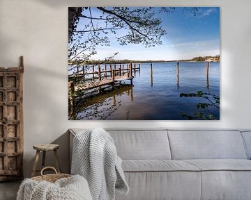 jetty at the Mecklenburg Lake District in springtime by Animaflora PicsStock