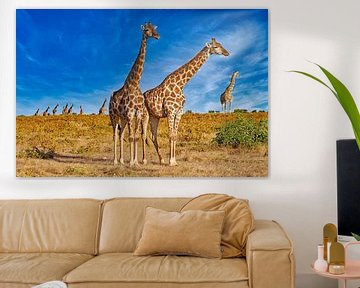 Kudde giraffen in het zonlicht, Namibië
