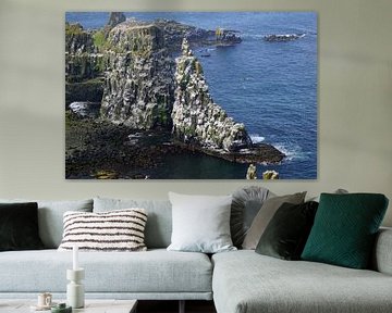 Kliffen van het eiland Rathlin in Noord-Ierland van Babetts Bildergalerie