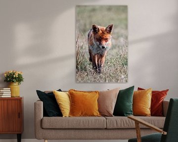 Hunting Fox by Erik Lei