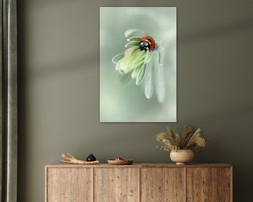 Ladybug by Jacqueline Gerhardt