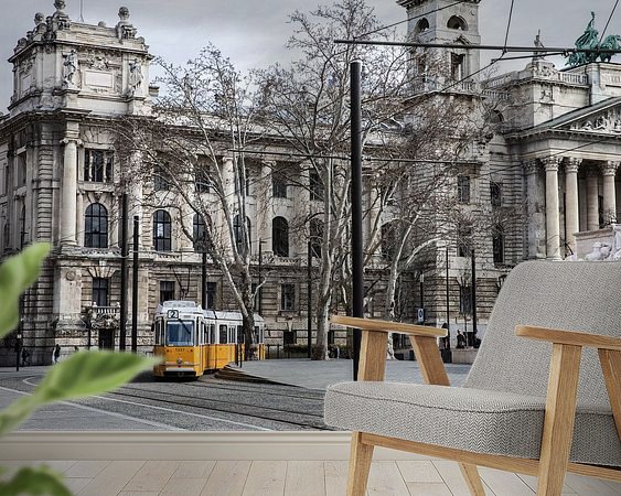 Aperçu de la chambre