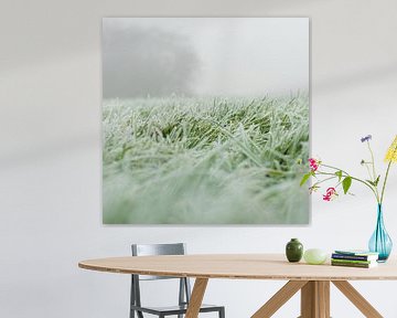 Gras im Nebel von Art Pictures by  Lotte