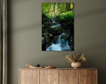 Small waterfall and wild garlic in the woods of southern Limburg. by Jos Pannekoek