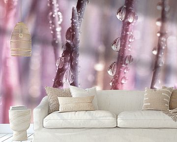 Drop by Violetta Honkisz